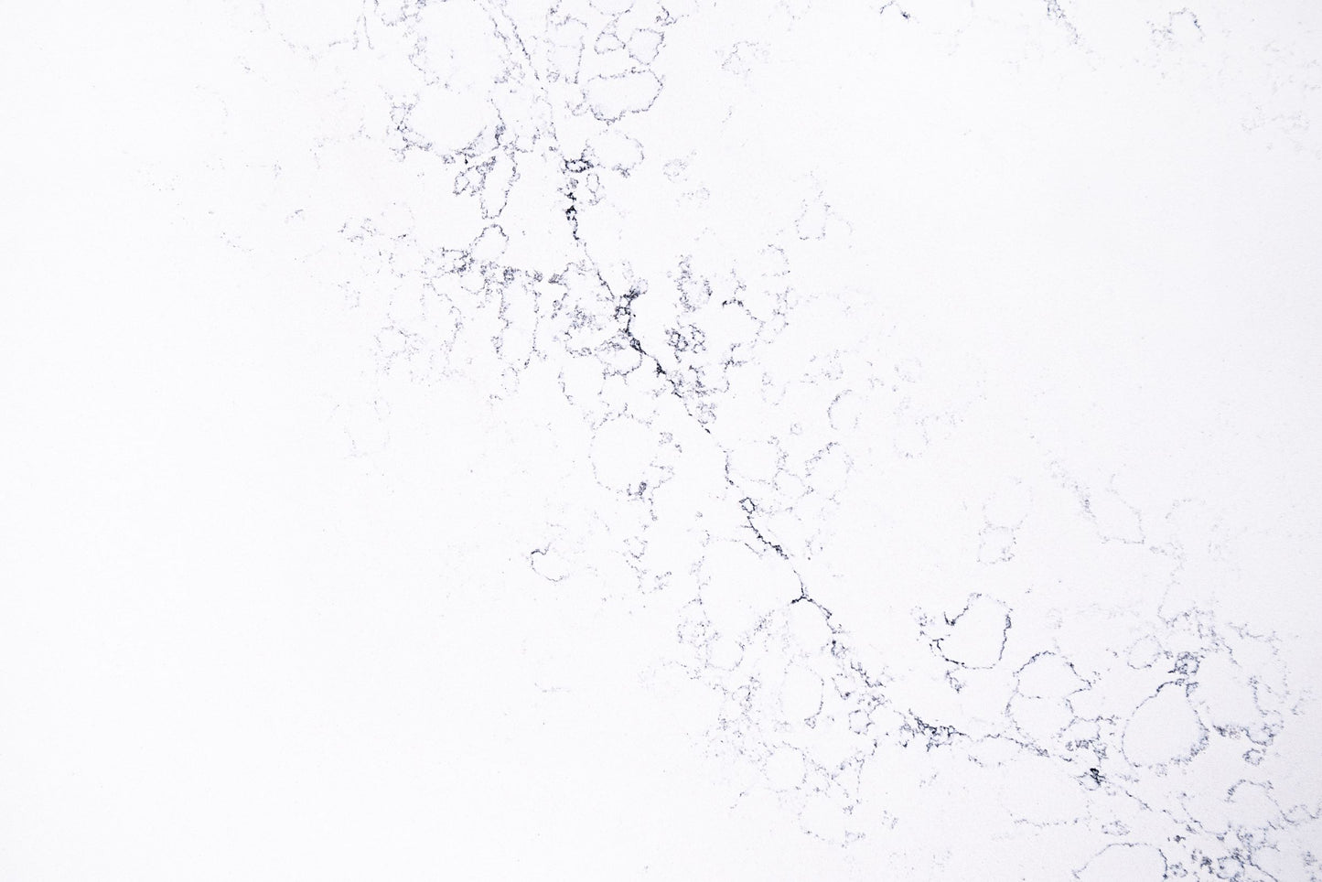 LQ4164 White Blossom