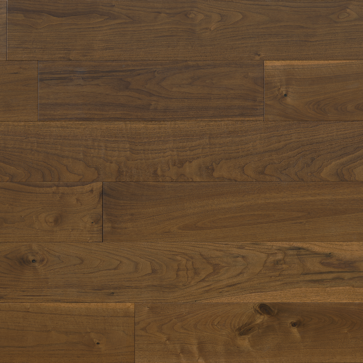 American Black Walnut color provence 8 x ¾ x in nail