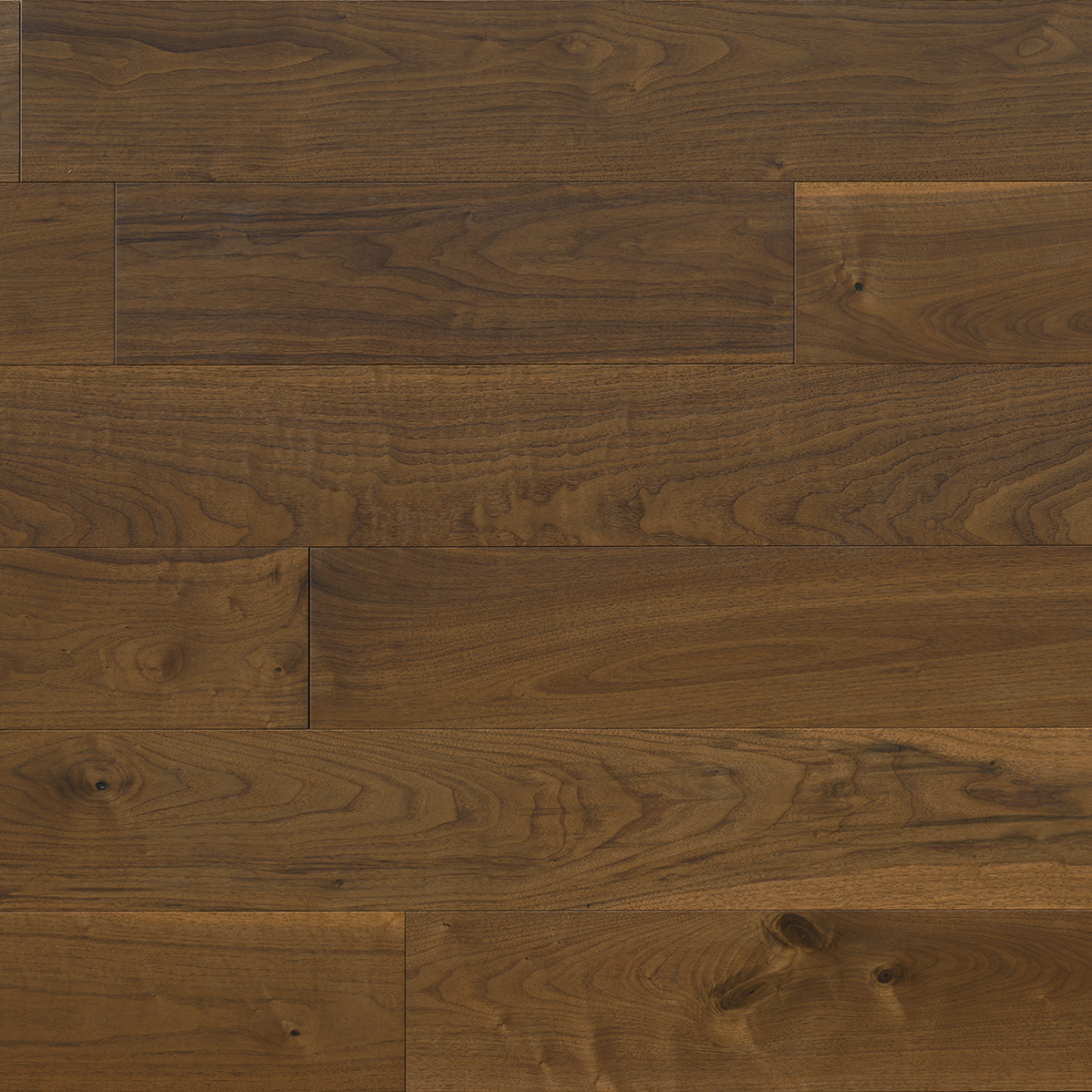 American Black Walnut color provence 6 x ¾ x in nail